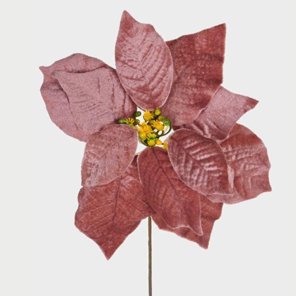 Haste Bico De Papagaio Vinho