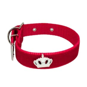 Coleira Camurça Aplique 25Mm Pra Cachorro Nicapet Cor