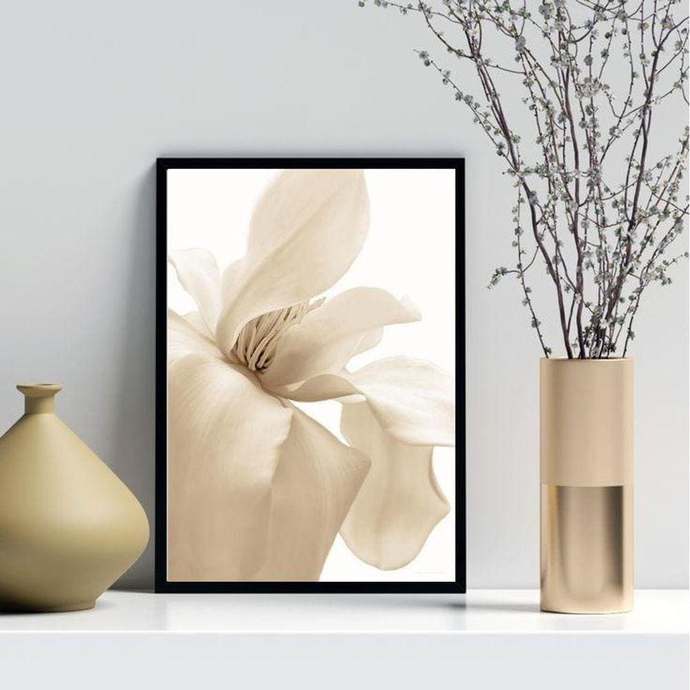 Quadro Decorativo Flor Bege Fundo Branco 45X34Cm - Com Vidro
