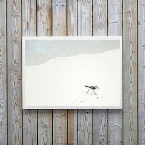 Quadro Decorativo Minimalista- Mar Pássaro Branco 33X24Cm