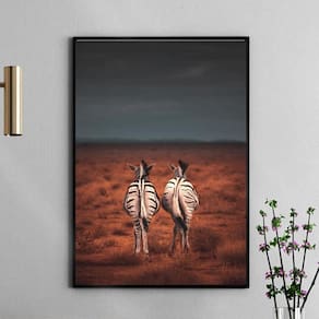 Quadro Decorativo Fotografia Casal Zebras 45X34Cm