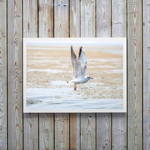 Quadro Decorativo Horizontal Gaivota Praia 33X24Cm - Vidro
