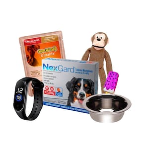 Nexgard Antipulgas Cães 25,1 A 50KG C/3 Comprimidos + Surpresa