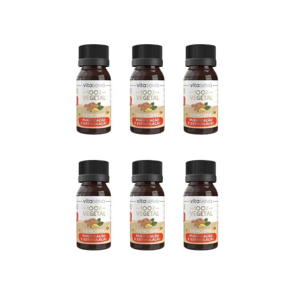 Oleo Capilar Vegetal Vita Seiva Gengibre 30Ml-Kit C/6Un