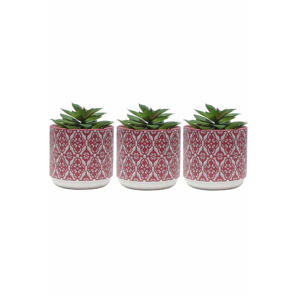 Kit 3 Vaso Cimento com Suculenta Cachepot Vasinho Pink 8cm