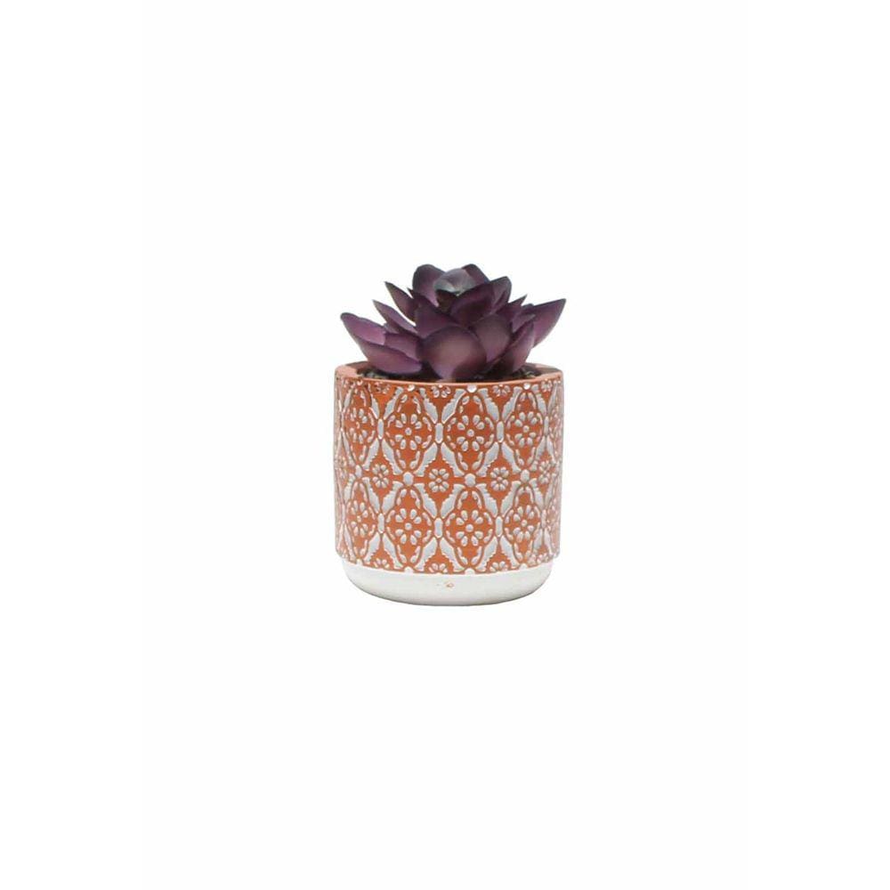 Vaso em Cimento com Suculenta Cachepot Vasinho 8cm