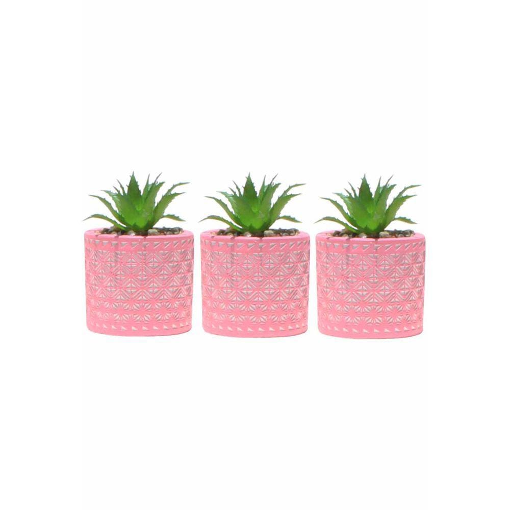 Kit 3 Vasos em Cimento Decorativo Rosa com Suculenta Planta