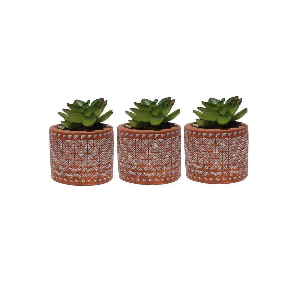 Kit 3 Vasos em Cimento Decorativo Laranja com Suculenta