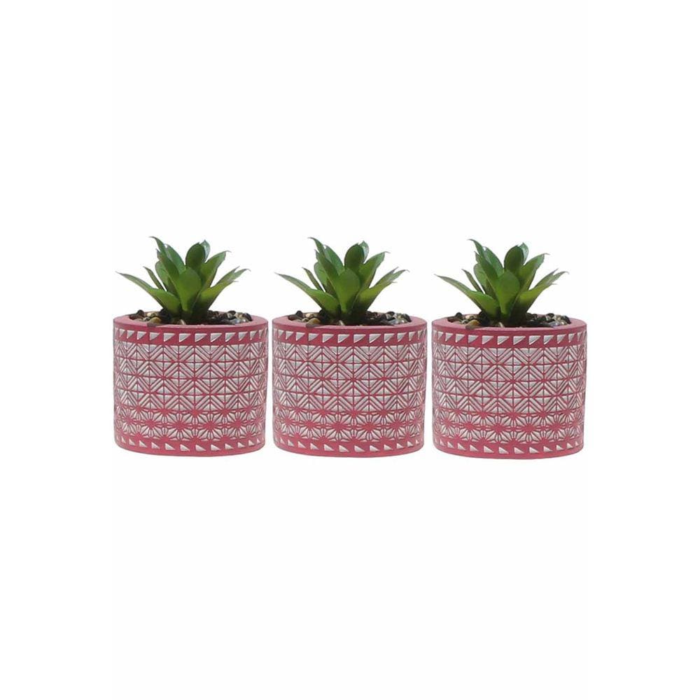 Kit 3 Vasos em Cimento Decorativo Pink com Suculenta Planta