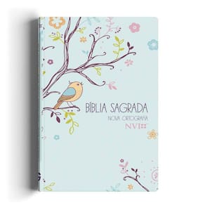 Bíblia Sagrada NVI Gigante Novo Testamento - Capa Especial - Um tempo especial com Deus