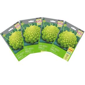 4X Sementes de Couve-Brócolis Romanesco Ottobrino Super ISLA