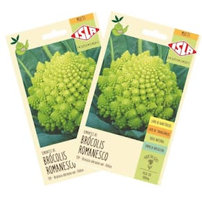2X Sementes de Couve-Brócolis Romanesco Ottobrino ISLA