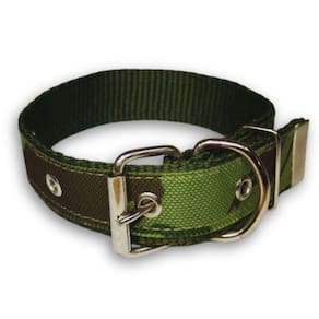 Coleira Xadrez 25Mm Para Cachorro Nicapet Cor Verde Nº 5