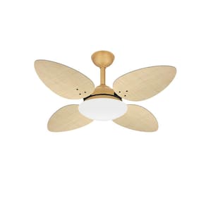 Ventilador Teto Dourado Silencioso 4 Pás Pétalo Ventax 110V
