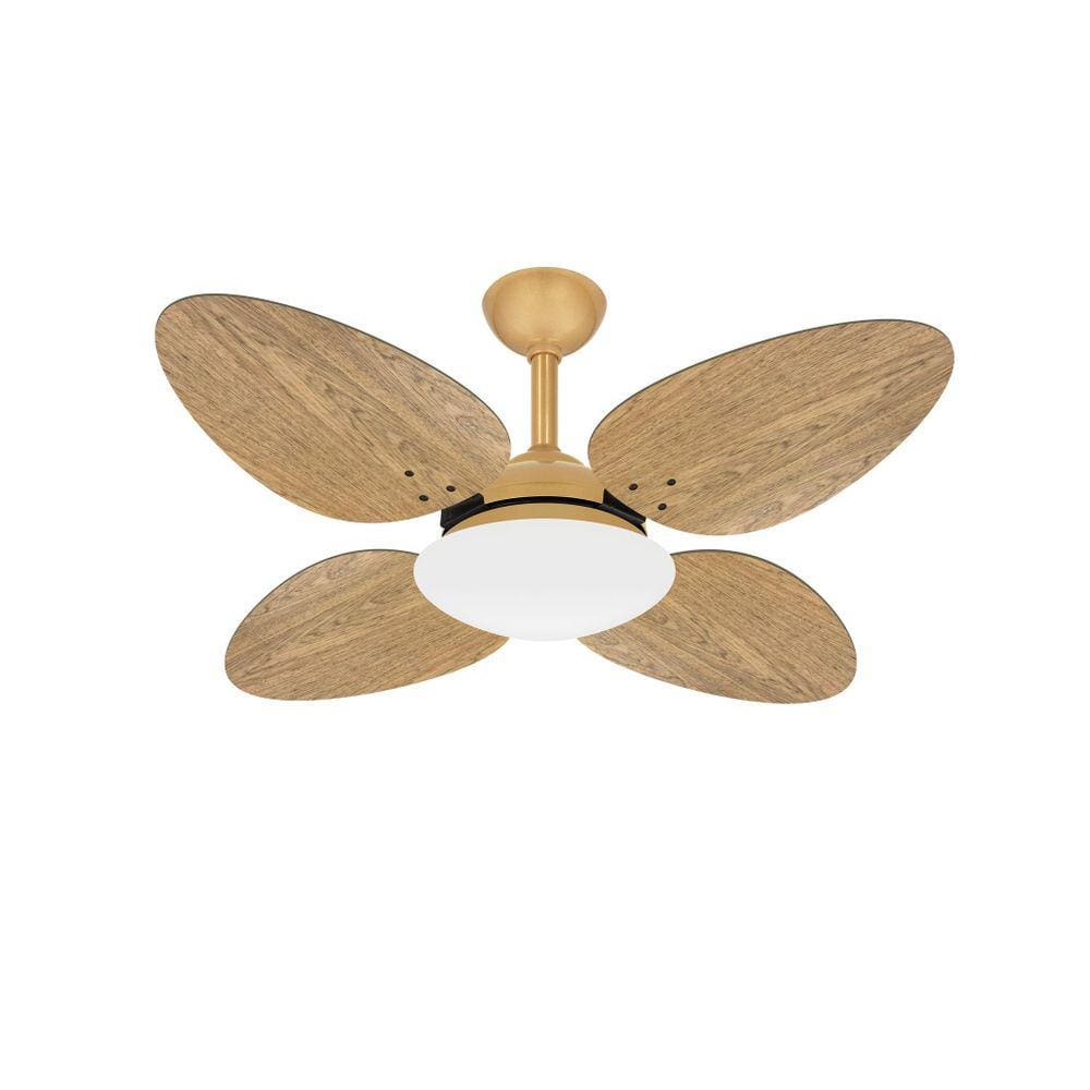 Ventilador Teto Dourado 4 Pás Freijó Silencioso Ventax 110V