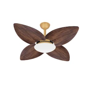 Ventilador Teto Dourado Turbo 4 Pás Imbuia Winds Ventax 220V
