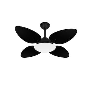 Ventilador De Teto Preto Pétalo 4 Pás Mdf Turbo Ventax 110V