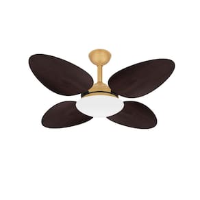 Ventilador De Teto Trevo Econômico Dourado 4 Pás Ventax 110V