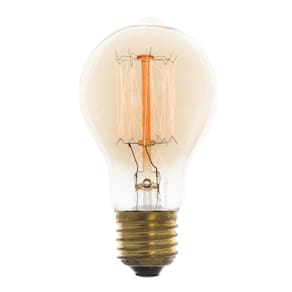 9X Lâmpada Filamento De Carbono Poptem A19 40W 110V