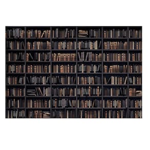 Fundo Fotográfico Newborn Biblioteca 1,5X1,2 Ffp-734