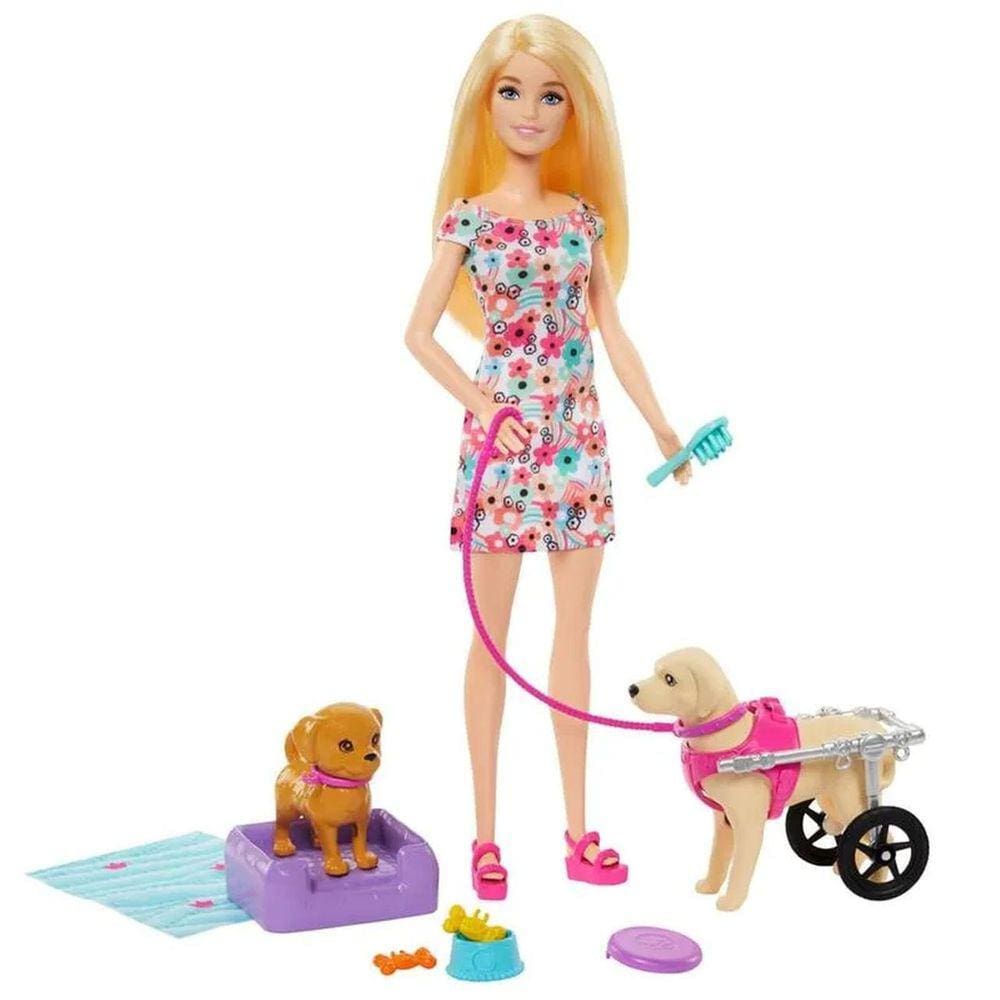 Boneca Barbie Passeio Com Pet Na Cadeira De Rodas - Mattel