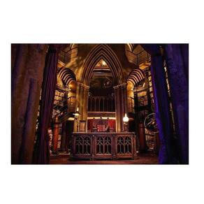Fundo Fotográfico Newborn Harry Potter 1,5X1,2 Ffp-265