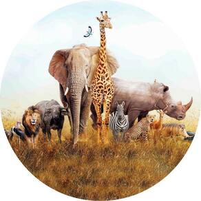 Painel Redondo 3D Sublimado Safari Frd-2560