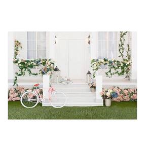 Fundo Fotográfico Newborn Bicicleta 2,2X1,5 Fff-687