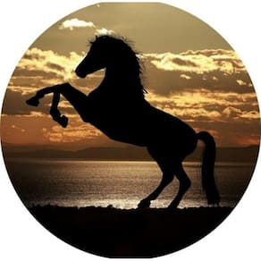 Painel Redondo 3D Sublimado Cavalos - Country Frd-728