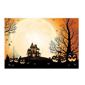 Fundo Fotográfico Newborn Halloween 2,2X1,5 Fff-841