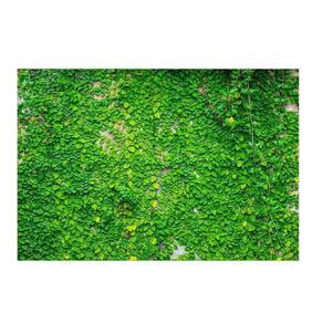 Fundo Fotográfico Muro Inglês 2,2X1,5 Fff-506