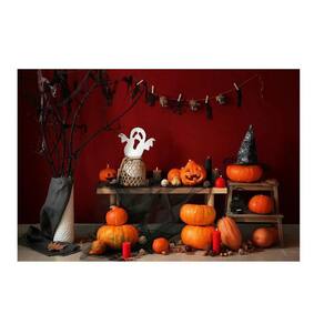 Fundo Fotográfico Halloween 2,2X1,5 Fff-890