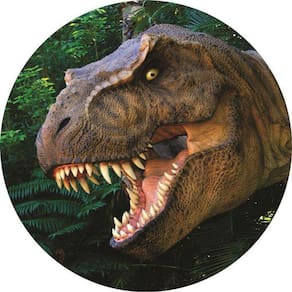 Painel Redondo 3D Sublimado Dinossauro Frd-1850