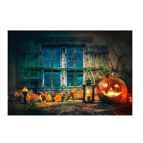 Fundo Fotográfico Newborn Halloween 2,2X1,5 Fff-860