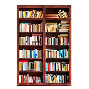 Fundo Fotográfico Newborn Biblioteca 1,5X2,2 Fff-435