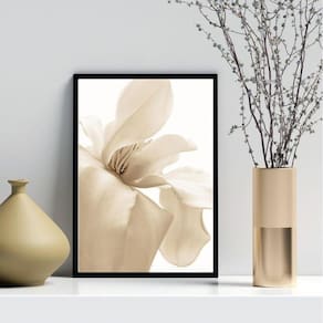 Quadro Decorativo Flor Bege Fundo Branco 45X34Cm