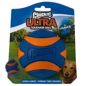 Brinquedo Chuckit Bola Ultra Squeaker Com Apito X-large Treinamento Para Cães