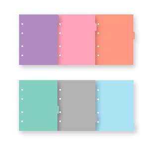 Divisória Caderno Argolado Colegial 4 Furos (Pequeno) Uni4 Color Foroni 49.9607-0
