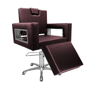 Cadeira Poltrona de Cabeleireiro Moderna Inox Ap Vinho