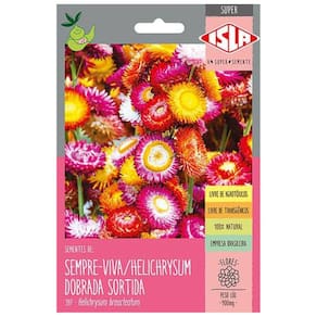 Sementes de Helichrysum Sempre-Viva Dobrada Super ISLA