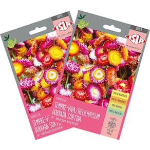 Sementes de Helichrysum Sempre-Viva Dobrada Super ISLA