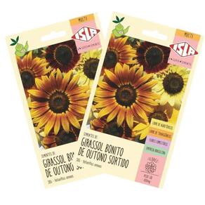 2x Sementes de Girassol Bonito de Outono ISLA