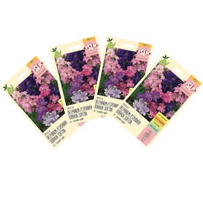4x Sementes de Delphinium Esporinha Dobrada ISLA