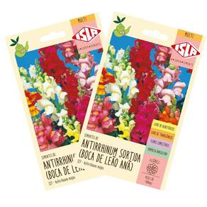 2x Sementes Antirrhinum Boca-de-Leão Anã ISLA