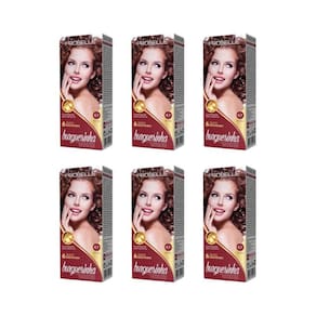 Coloraçao Probelle Burguesinha 6.7 Chocolate - Kit Com 6Un