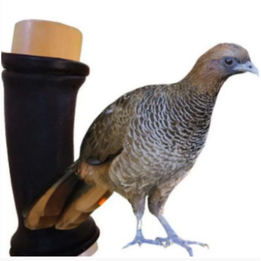 Apito Pio De Madeira Aracuã Fole 32