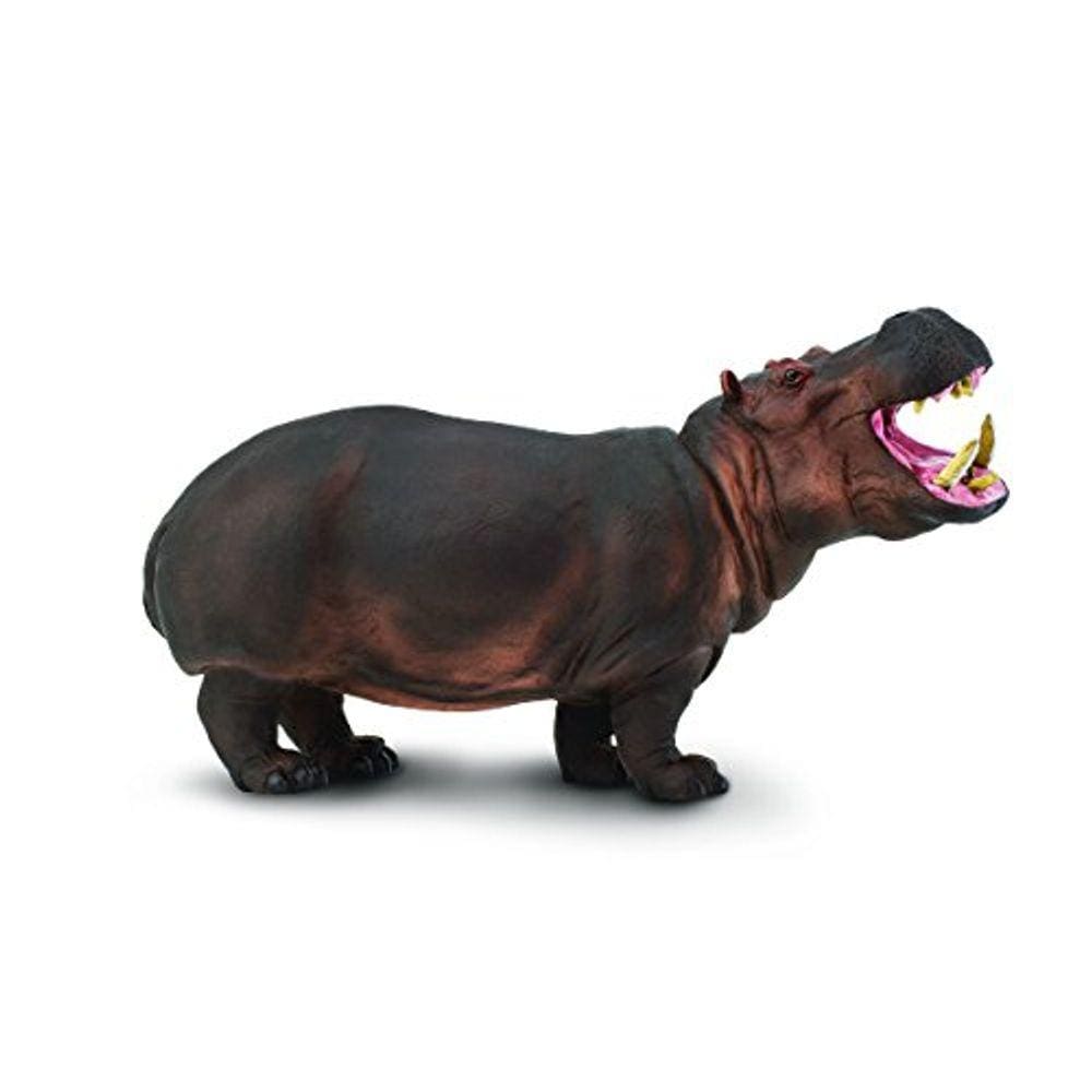 Safari Ltd Wildlife Wonders Hippo
