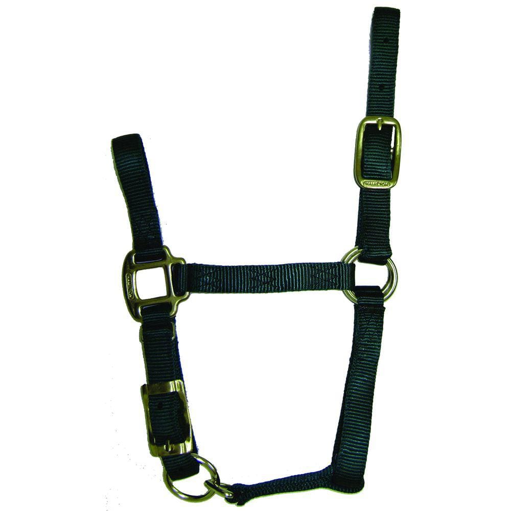 Horse Halter Hamilton ajustável de 3/4 polegadas de nylon verde escuro
