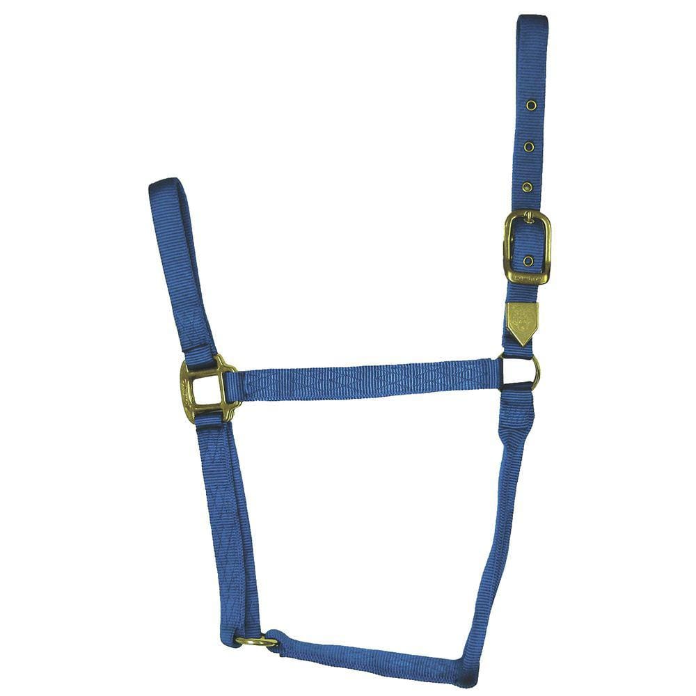 Horse Halter Hamilton Nylon 2,54 cm, azul pequeno, 226,8 a 362,9