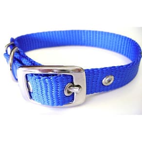 Coleira para cães Hamilton Deluxe Nylon Single Thick 1,6 x 35,6 cm azul